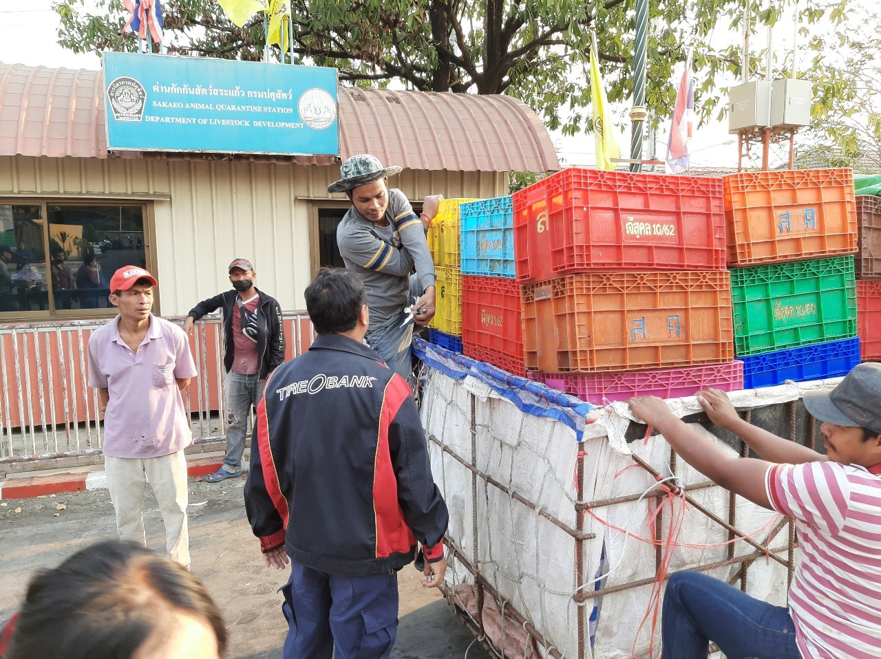 ตรวจสินค้าประมงที่นำเข้า ส่งออก ทางด่านพรมแดนถาวรคลองลึก..คลิก