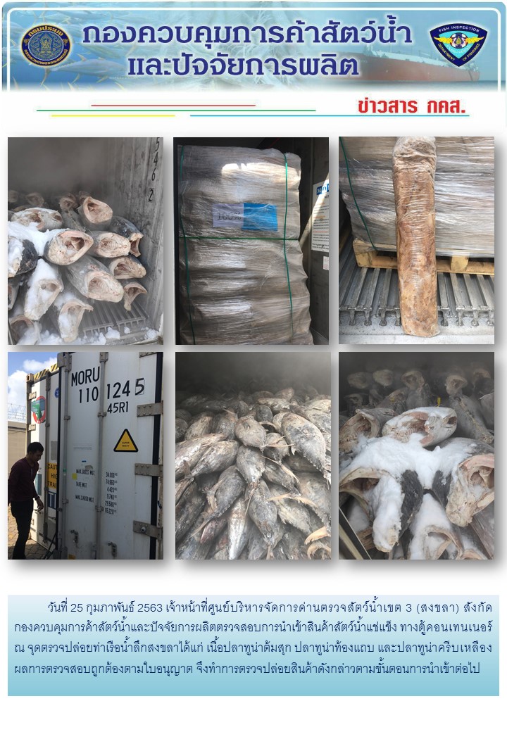 เจ้าหน้าที่ศูนย์บริหารจัดการด่านตรวจสัตว์น้ำเขต 3 (สงขลา) สังกัดกองควบคุมการค้าสัตว์น้ำและปัจจัยการผลิต ตรวจสอบการนำเข้าสินค้าสัตว์น้ำประเภทตู้คอนเทนเนอร์ ณ จุดตรวจปล่อยท่าเรือน้ำลึกสงขลา..คลิก