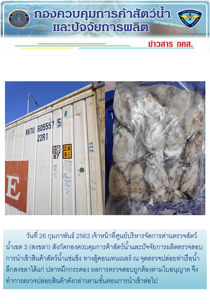 เจ้าหน้าที่ศูนย์บริหารจัดการด่านตรวจสัตว์น้ำเขต 3 (สงขลา) สังกัดกองควบคุมการค้าสัตว์น้ำและปัจจัยการผลิต ตรวจสอบการนำเข้าสินค้าสัตว์น้ำประเภทตู้คอนเทนเนอร์ ณ จุดตรวจปล่อยท่าเรือน้ำลึกสงขลา..คลิก