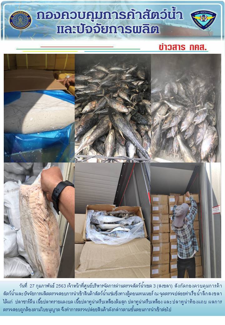 เจ้าหน้าที่ศูนย์บริหารจัดการด่านตรวจสัตว์น้ำเขต 3 (สงขลา) สังกัดกองควบคุมการค้าสัตว์น้ำและปัจจัยการผลิต ตรวจสอบการนำเข้าสินค้าสัตว์น้ำประเภทตู้คอนเทนเนอร์ ณ จุดตรวจปล่อยท่าเรือน้ำลึกสงขลา..คลิก