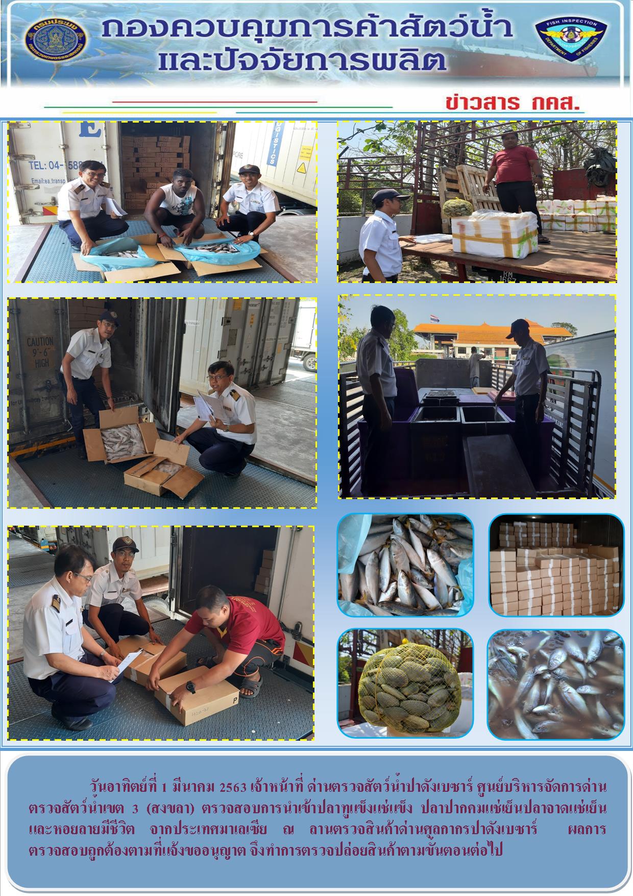 ด่านตรวจสัตว์น้ำปาดังเบซาร์ตรวจสอบสัตว์น้ำนำเข้า..คลิก