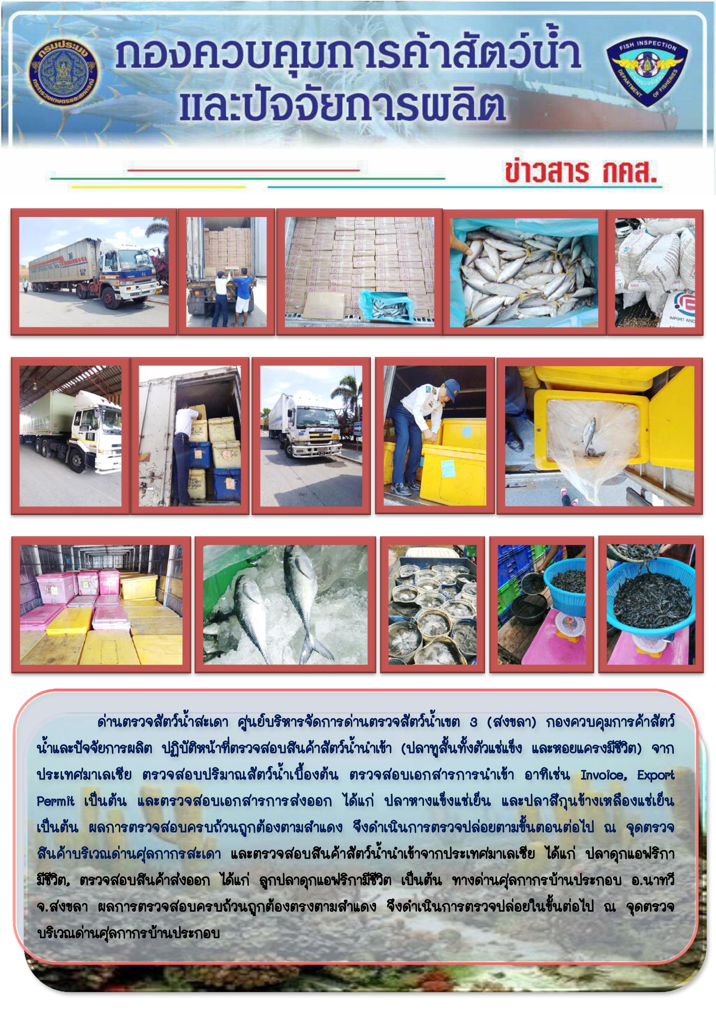 ข่าวสาร กคส. ประจำวันพฤหัสบดีที่ 5 มีนาคม 2563..คลิก