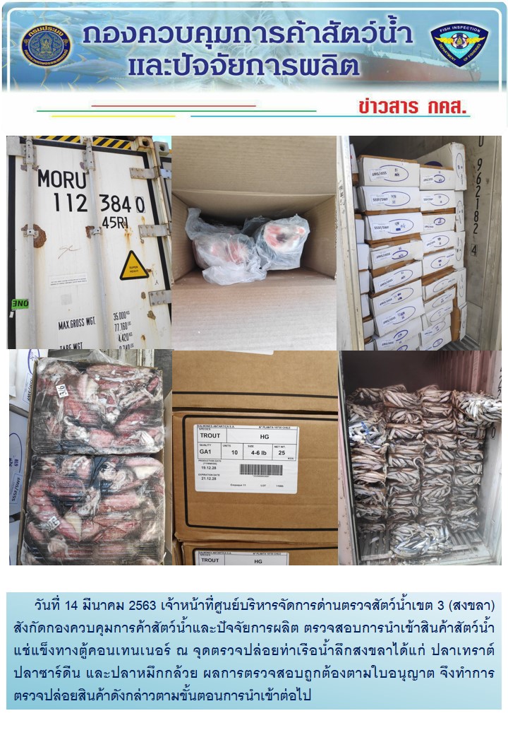 เจ้าหน้าที่ศูนย์บริหารจัดการด่านตรวจสัตว์น้ำเขต 3 (สงขลา) สังกัดกองควบคุมการค้าสัตว์น้ำและปัจจัยการผลิต ตรวจสอบการนำเข้าสินค้าสัตว์น้ำประเภทตู้คอนเทนเนอร์ ณ จุดตรวจปล่อยท่าเรือน้ำลึกสงขลา..คลิก