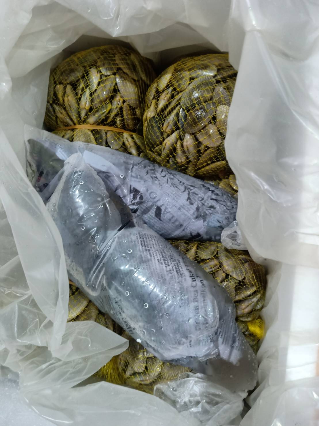 ด่านตรวจสัตว์นำ้ท่าอากาศยานดอนเมือง ตรวจสอบสินค้าสัตว์น้ำนำเข้า..คลิก
