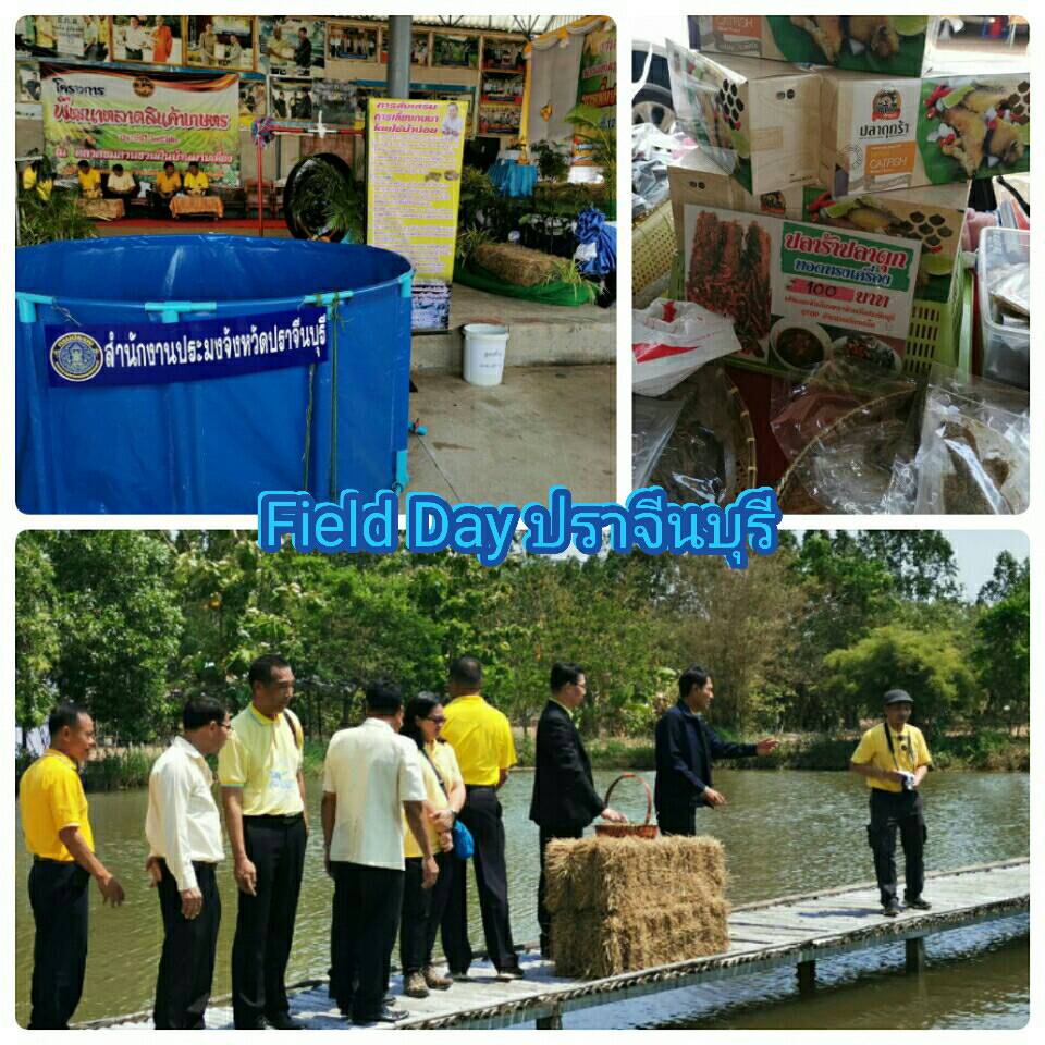 โครงการศูนย์เรียนรู้การเพิ่มประสิทธิภาพการผลิตสินค้าเกษตร Field Day..คลิก