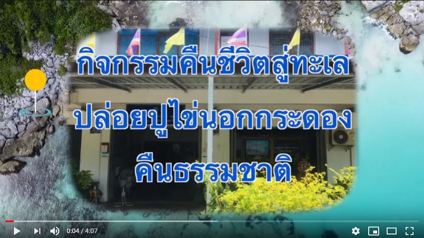 คืนชีวิตสู่ทะเล ปล่อยปูไข่นอกกระดอง คืนธรรมชาติ