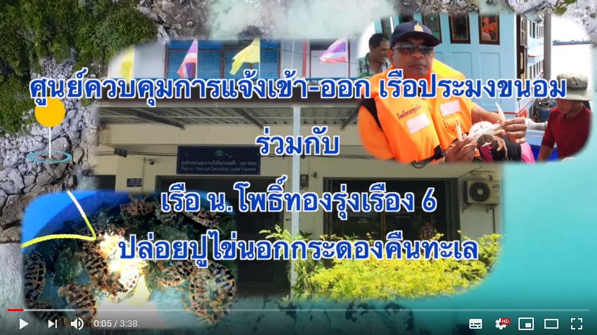 ศจร ขนอม ร่วมกับชาวประมงปล่อยปูไข่นอกกระดอง