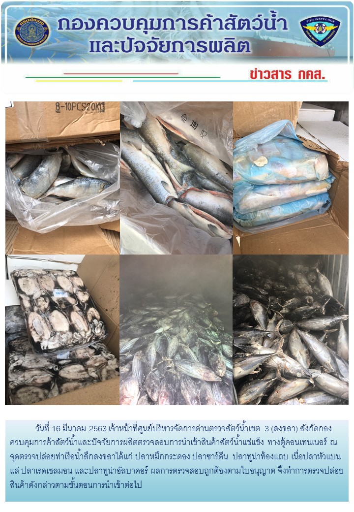 เจ้าหน้าที่ศูนย์บริหารจัดการด่านตรวจสัตว์น้ำเขต 3 (สงขลา) สังกัดกองควบคุมการค้าสัตว์น้ำและปัจจัยการผลิต ตรวจสอบการนำเข้าสินค้าสัตว์น้ำประเภทตู้คอนเทนเนอร์ ณ จุดตรวจปล่อยท่าเรือน้ำลึกสงขลา..คลิก