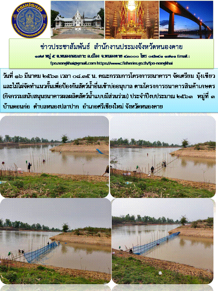 จัดทำแนวกั้นเพื่อป้องกันสัตว์น้ำอื่นเข้าบ่ออนุบาล..คลิก