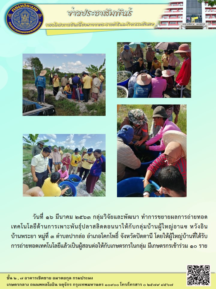 ขยายผลถ่ายทอดเทคโนโลยีการเพาะพันธุ์ปลาสลิดดอนนา (16 มี.ค.63)