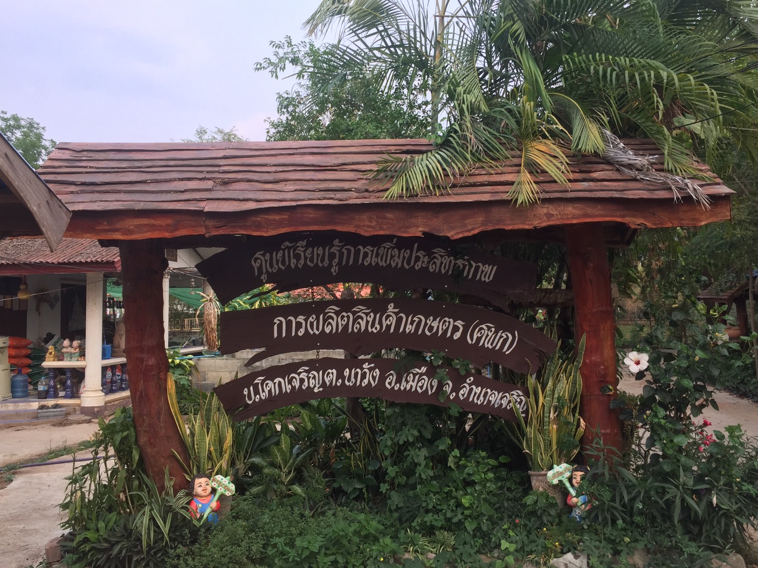 ตรวจเยี่ยมศูนย์เรียนรู้การเพิ่มประสิทธิภาพการผลิตสินค้าเกษตร (ศพก.) บ้านโคกเจริญ..คลิก