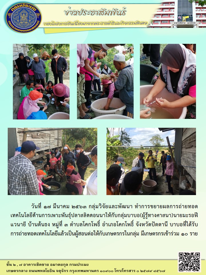ขยายผลถ่ายทอดเทคโนโลยีการเพาะพันธุ์ปลาสลิดดอนนา (17 มี.ค.63)