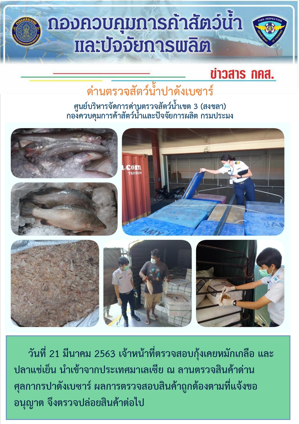 ด่านตรวจสัตว์น้ำปาดังเบซาร์ ตรวจสอบสัตว์น้ำนำเข้า ประจำวันที่ 21 มีนาคม 2563