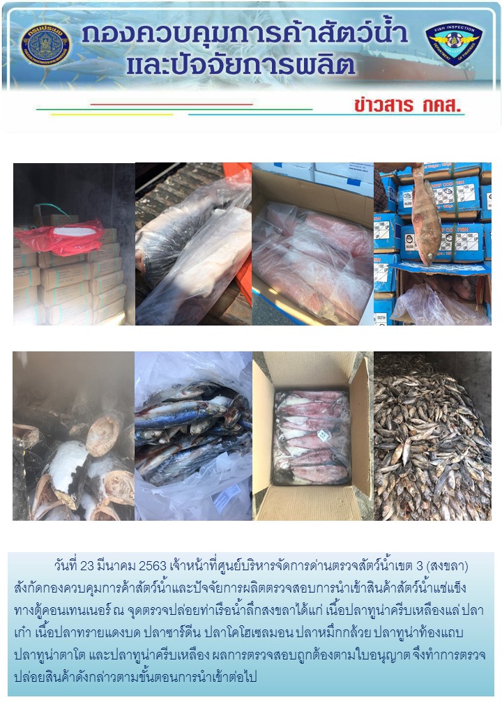 เจ้าหน้าที่ศูนย์บริหารจัดการด่านตรวจสัตว์น้ำเขต 3 (สงขลา) สังกัดกองควบคุมการค้าสัตว์น้ำและปัจจัยการผลิต ตรวจสอบการนำเข้าสินค้าสัตว์น้ำประเภทตู้คอนเทนเนอร์ ณ จุดตรวจปล่อยท่าเรือน้ำลึกสงขลา..คลิก