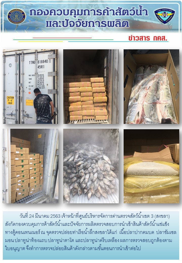 เจ้าหน้าที่ศูนย์บริหารจัดการด่านตรวจสัตว์น้ำเขต 3 (สงขลา) สังกัดกองควบคุมการค้าสัตว์น้ำและปัจจัยการผลิต ตรวจสอบการนำเข้าสินค้าสัตว์น้ำประเภทตู้คอนเทนเนอร์ ณ จุดตรวจปล่อยท่าเรือน้ำลึกสงขลา..คลิก