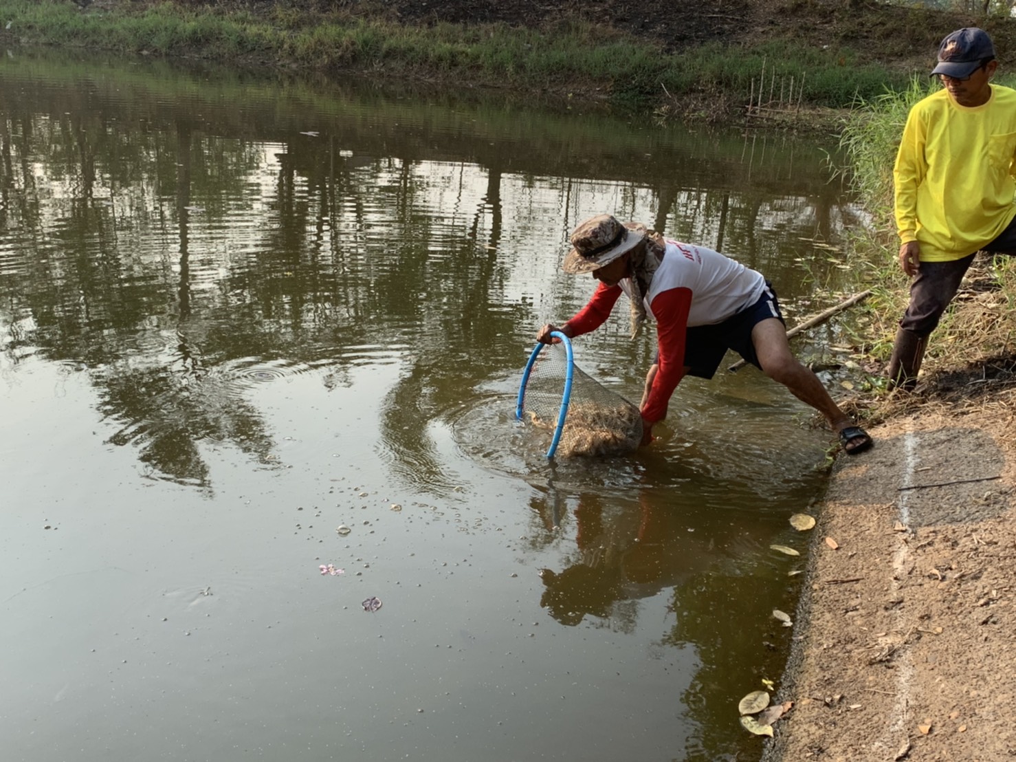 การตรวจรับพัสดุ ก่อนปล่อยกุ้งก้ามกรามในแหล่งน้ำจำนวน 3 แหล่ง อำเภอเมืองอุบลราชธานี จังหวัดอุบลราชธานี..คลิก