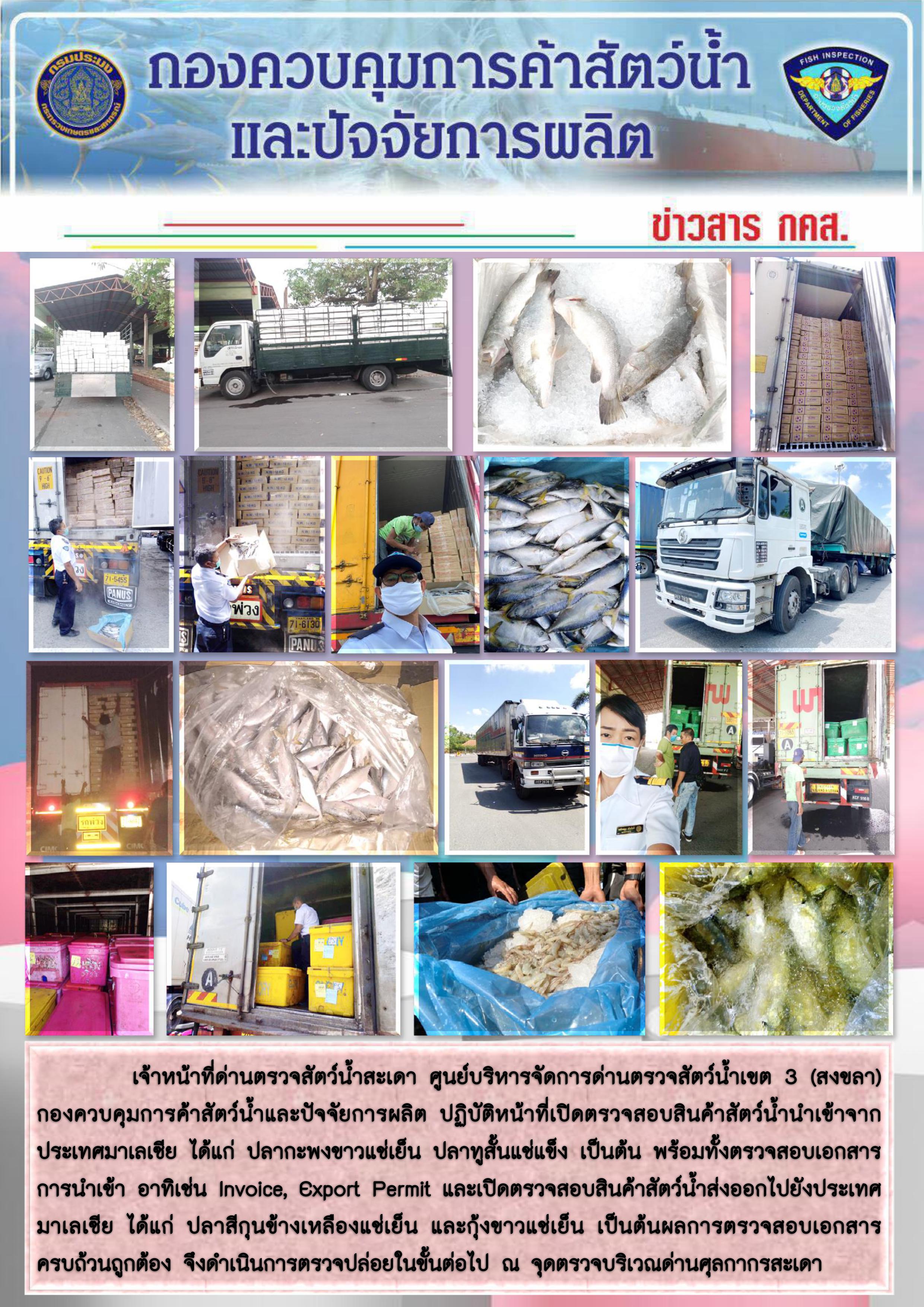 ข่าวสาร กคส. ประจำวันเสาร์ที่ 28 มีนาคม 2563..คลิก