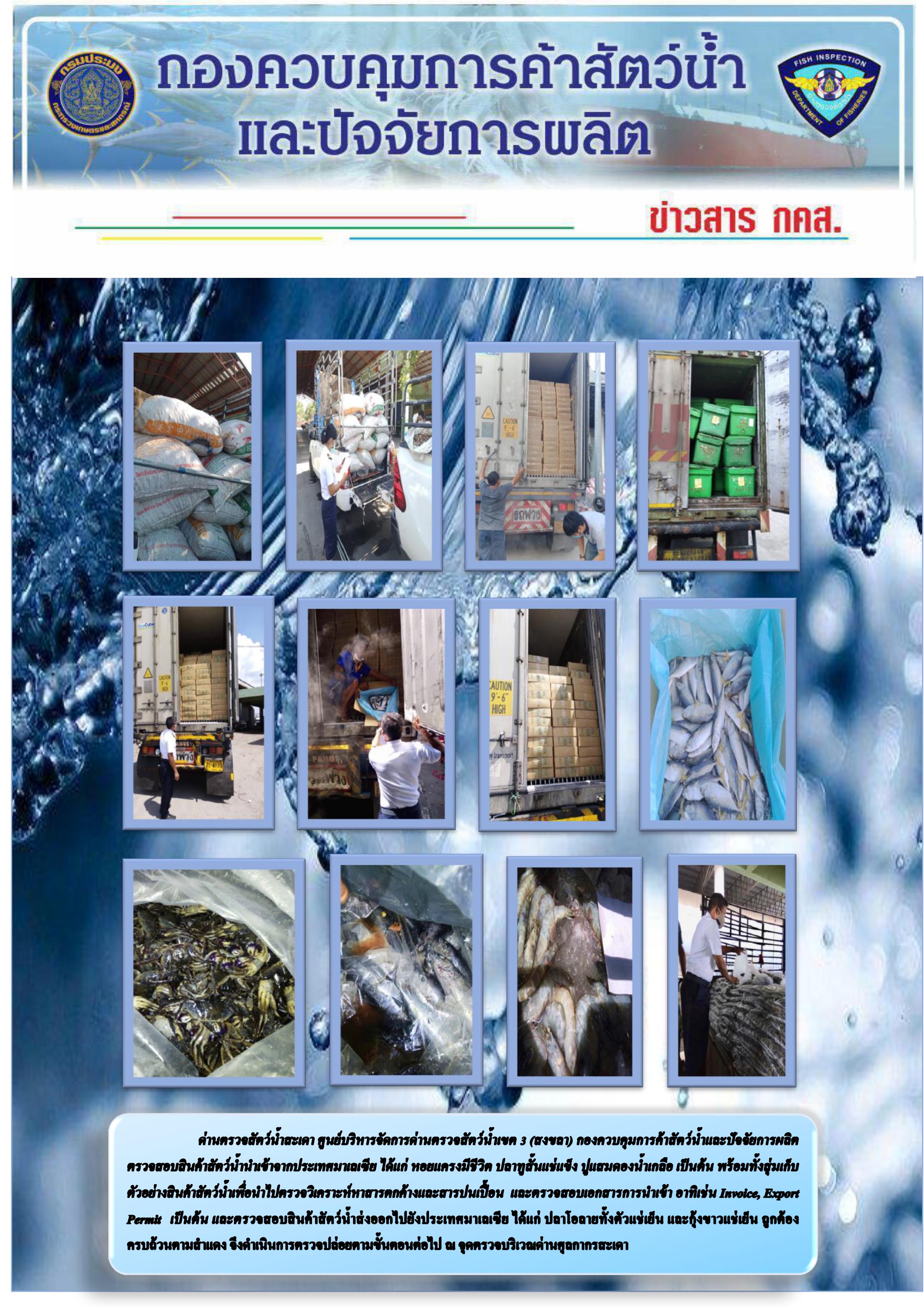 ข่าวสาร กคส. ประจำวันอาทิตย์ที่ 29 มีนาคม 2563..คลิก