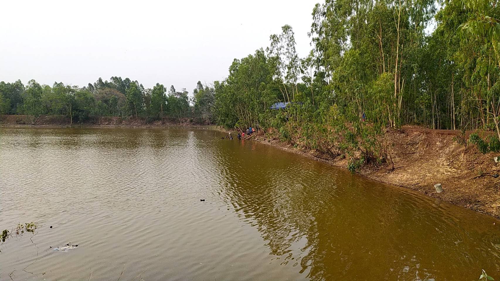 ดำเนินการสุ่มชั่งวัดกุ้งก้ามกราม โครงการสร้างรายได้จากอาชีพประมงในแหล่งน้ำชุมชน..คลิก