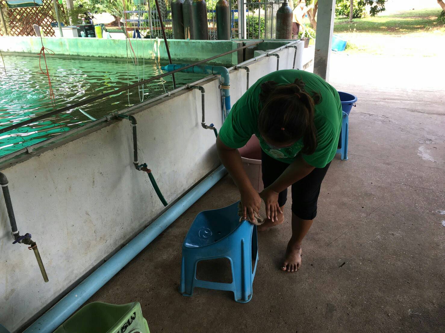 ร่วมกันทำความสะอาดภายในหน่วยงาน เพื่อเตรียมความพร้อมในการป้องกัน..คลิก