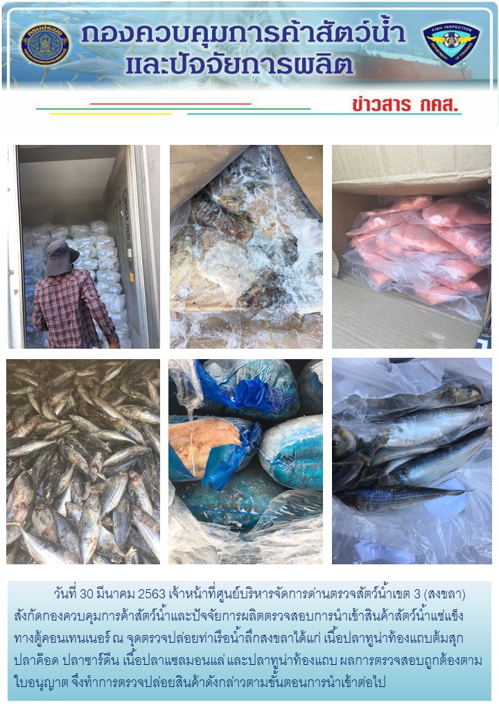 เจ้าหน้าที่ศูนย์บริหารจัดการด่านตรวจสัตว์น้ำเขต 3 (สงขลา) สังกัดกองควบคุมการค้าสัตว์น้ำและปัจจัยการผลิต ตรวจสอบการนำเข้าสินค้าสัตว์น้ำประเภทตู้คอนเทนเนอร์ ณ จุดตรวจปล่อยท่าเรือน้ำลึกสงขลา..คลิก