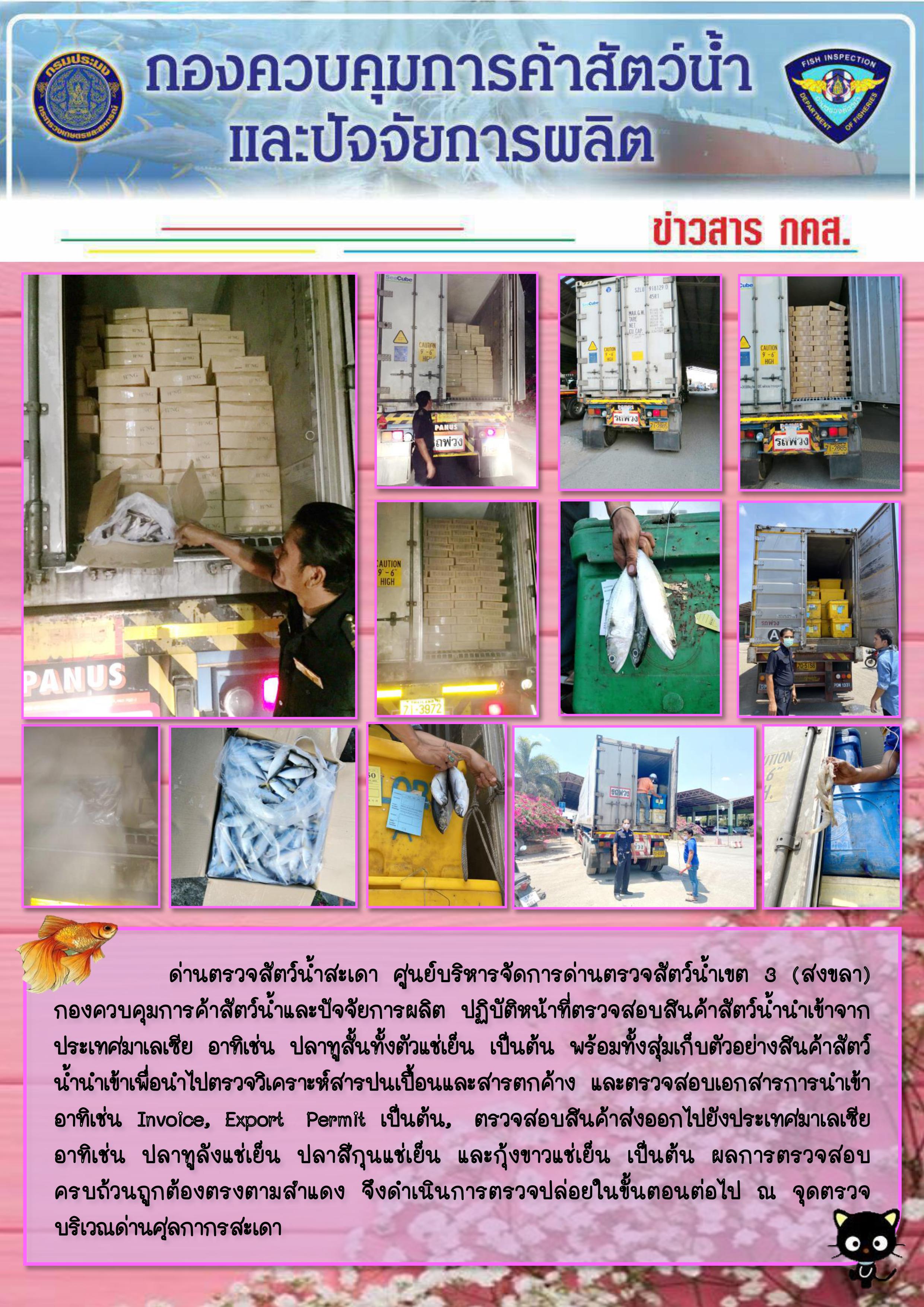 ข่าวสาร กคส. ประจำวันอังคารที่ 31 มีนาคม 2563..คลิก
