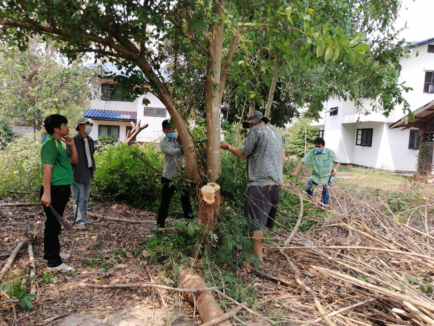 วันพุธ ที่ 1 เมษายน 2563 เวลา 09.00 น. ทำความสะอาดปรับภูมิทัศน์บริเวณรอบสำนักงานประมงจังหวัดหนองคาย..คลิก