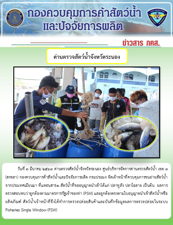 ควบคุมขนถ่ายสัตว์น้ำขึ้นท่าจากประเทศMYANMAR..คลิก