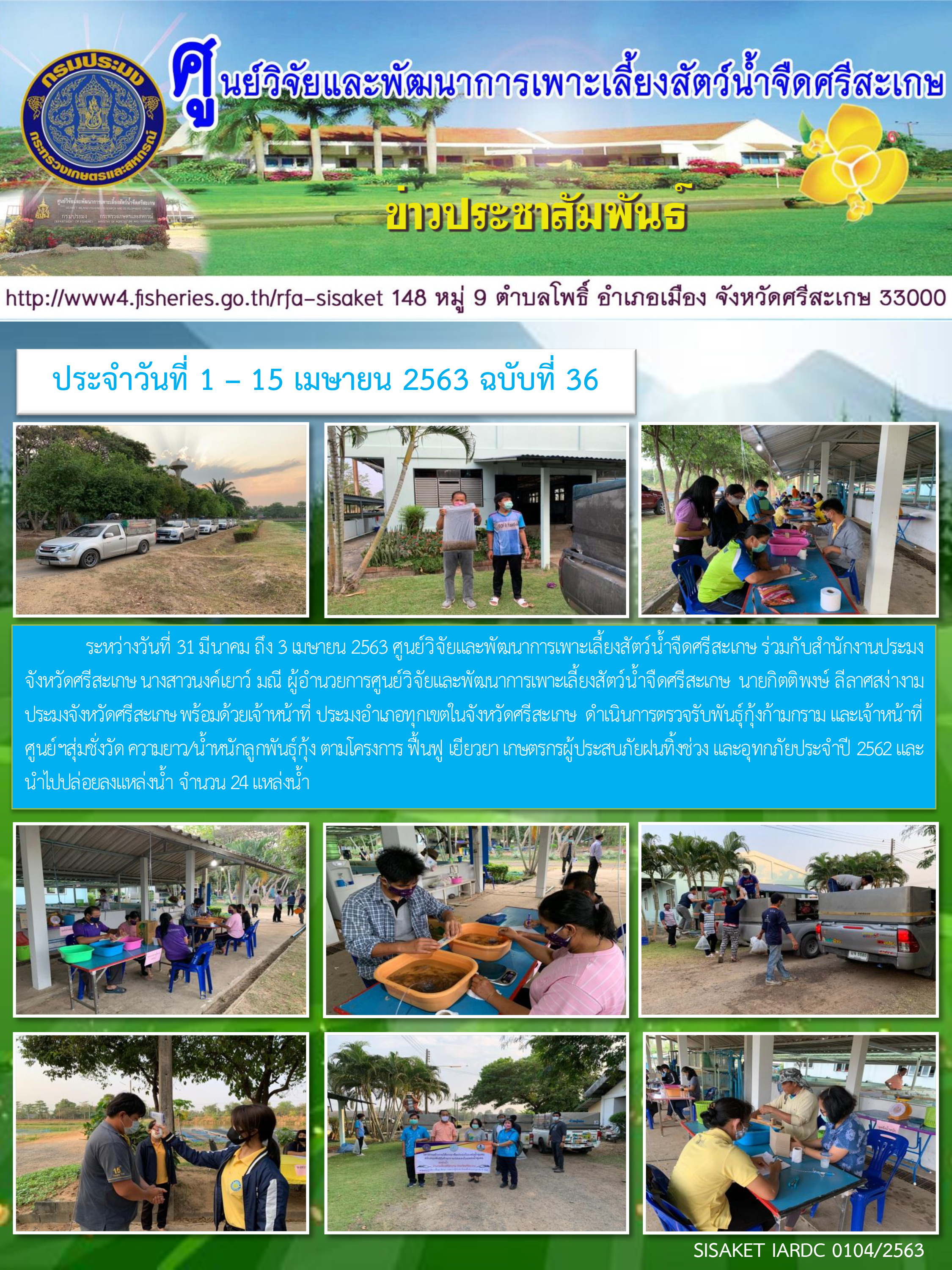 ข่าวประชาสัมพันธ์ประจำวันที่ 31 มีนาคม-3 เมษายน 2563 ศูนย์วิจัยและพัฒนาการเพาะเลี้ยงสัตว์น้ำจืดศรีสะเกษ ปักษ์แรก ฉบับที่ 36..คลิก