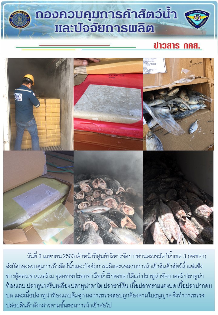 เจ้าหน้าที่ศูนย์บริหารจัดการด่านตรวจสัตว์น้ำเขต 3 (สงขลา) สังกัดกองควบคุมการค้าสัตว์น้ำและปัจจัยการผลิต ตรวจสอบการนำเข้าสินค้าสัตว์น้ำประเภทตู้คอนเทนเนอร์ ณ จุดตรวจปล่อยท่าเรือน้ำลึกสงขลา..คลิก