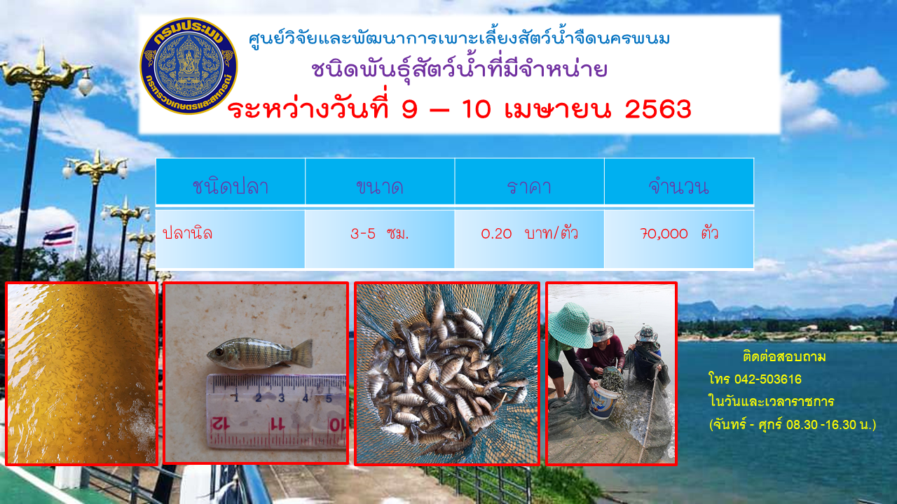 การจำหน่ายพันธุ์สัตว์น้ำ..คลิก
