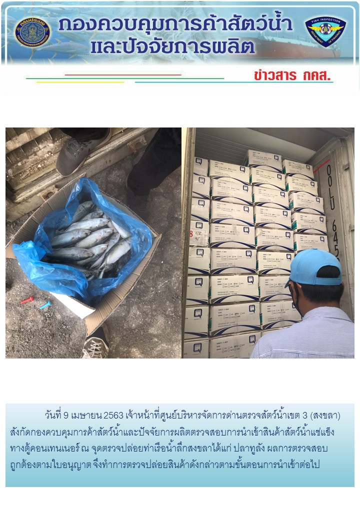 เจ้าหน้าที่ศูนย์บริหารจัดการด่านตรวจสัตว์น้ำเขต 3 (สงขลา) สังกัดกองควบคุมการค้าสัตว์น้ำและปัจจัยการผลิต ตรวจสอบการนำเข้าสินค้าสัตว์น้ำประเภทตู้คอนเทนเนอร์ ณ จุดตรวจปล่อยท่าเรือน้ำลึกสงขลา..คลิก