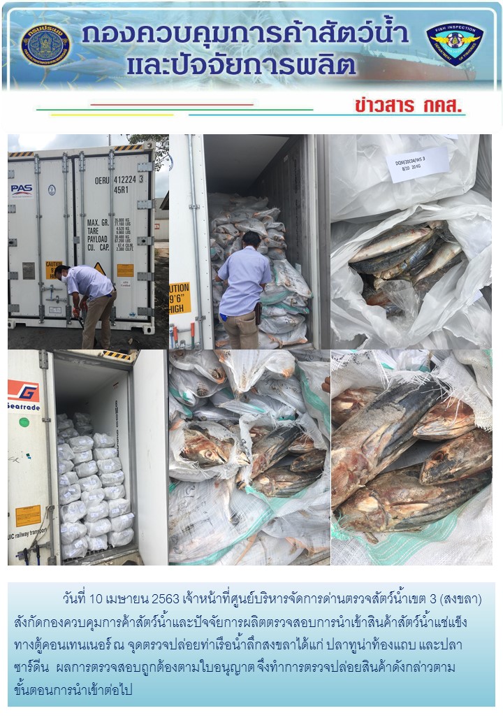 เจ้าหน้าที่ศูนย์บริหารจัดการด่านตรวจสัตว์น้ำเขต 3 (สงขลา) สังกัดกองควบคุมการค้าสัตว์น้ำและปัจจัยการผลิต ตรวจสอบการนำเข้าสินค้าสัตว์น้ำประเภทตู้คอนเทนเนอร์ ณ จุดตรวจปล่อยท่าเรือน้ำลึกสงขลา..คลิก