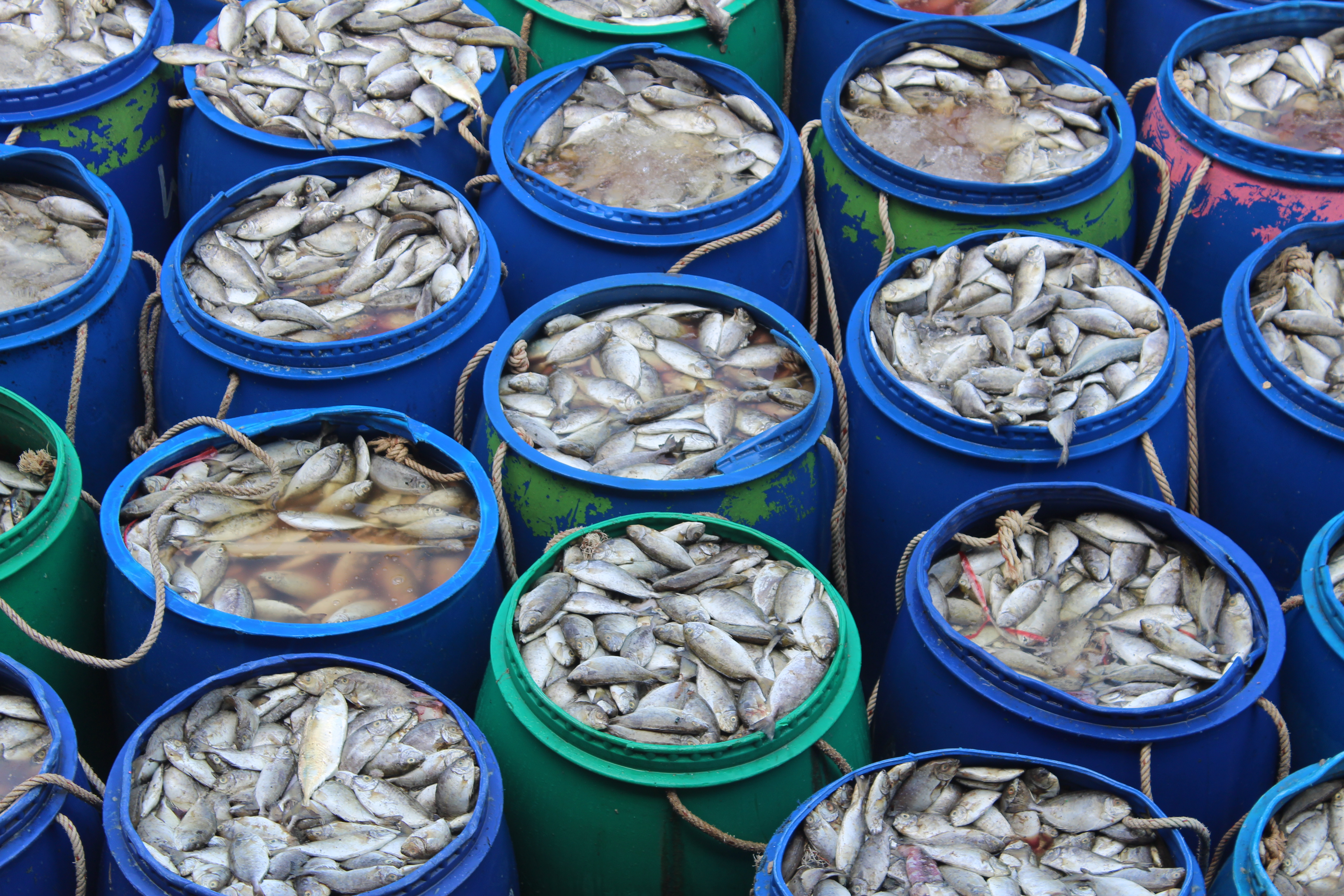 ตรวจสอบเรือและสินค้านำเข้าจากประเทศ MYANMAR..คลิก