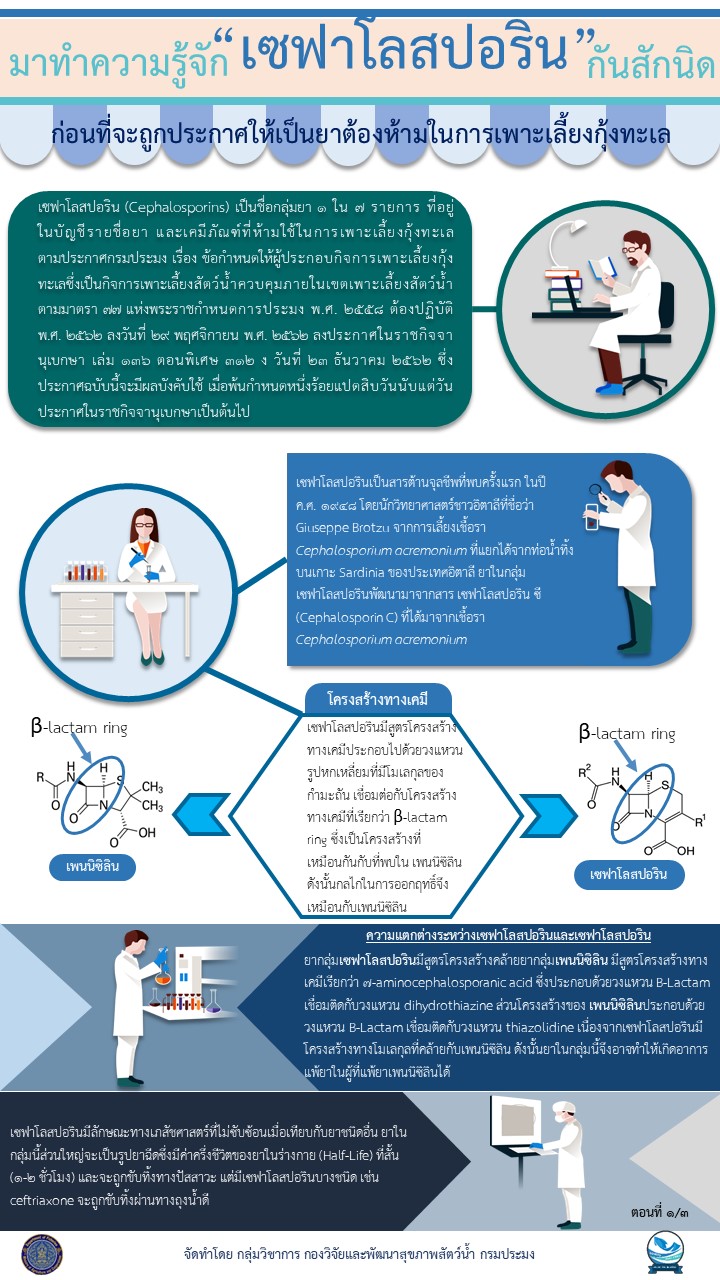 มาทำความรู้จัก“เซฟาโลสปอริน”กันสักนิดมาทำความรู้จัก“เซฟาโลสปอริน”กันสักนิด ภาค 1..คลิก