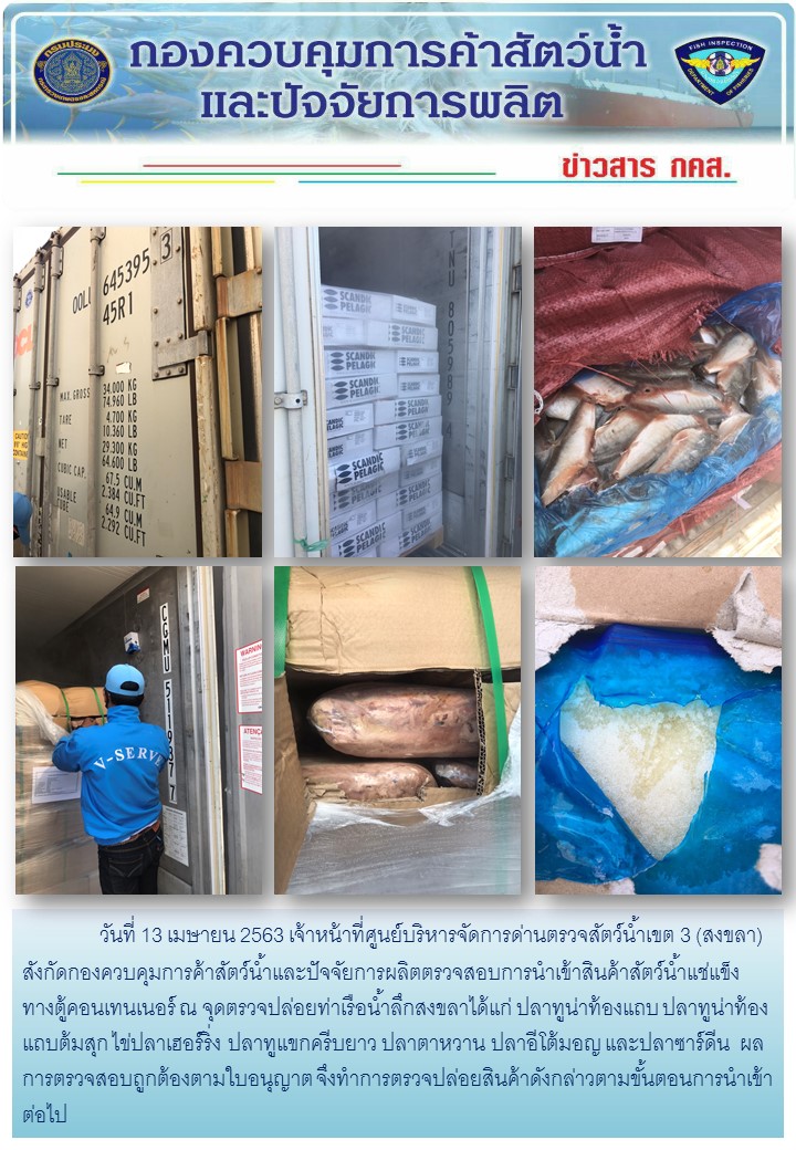 เจ้าหน้าที่ศูนย์บริหารจัดการด่านตรวจสัตว์น้ำเขต 3 (สงขลา) สังกัดกองควบคุมการค้าสัตว์น้ำและปัจจัยการผลิต ตรวจสอบการนำเข้าสินค้าสัตว์น้ำประเภทตู้คอนเทนเนอร์ ณ จุดตรวจปล่อยท่าเรือน้ำลึกสงขลา..คลิก