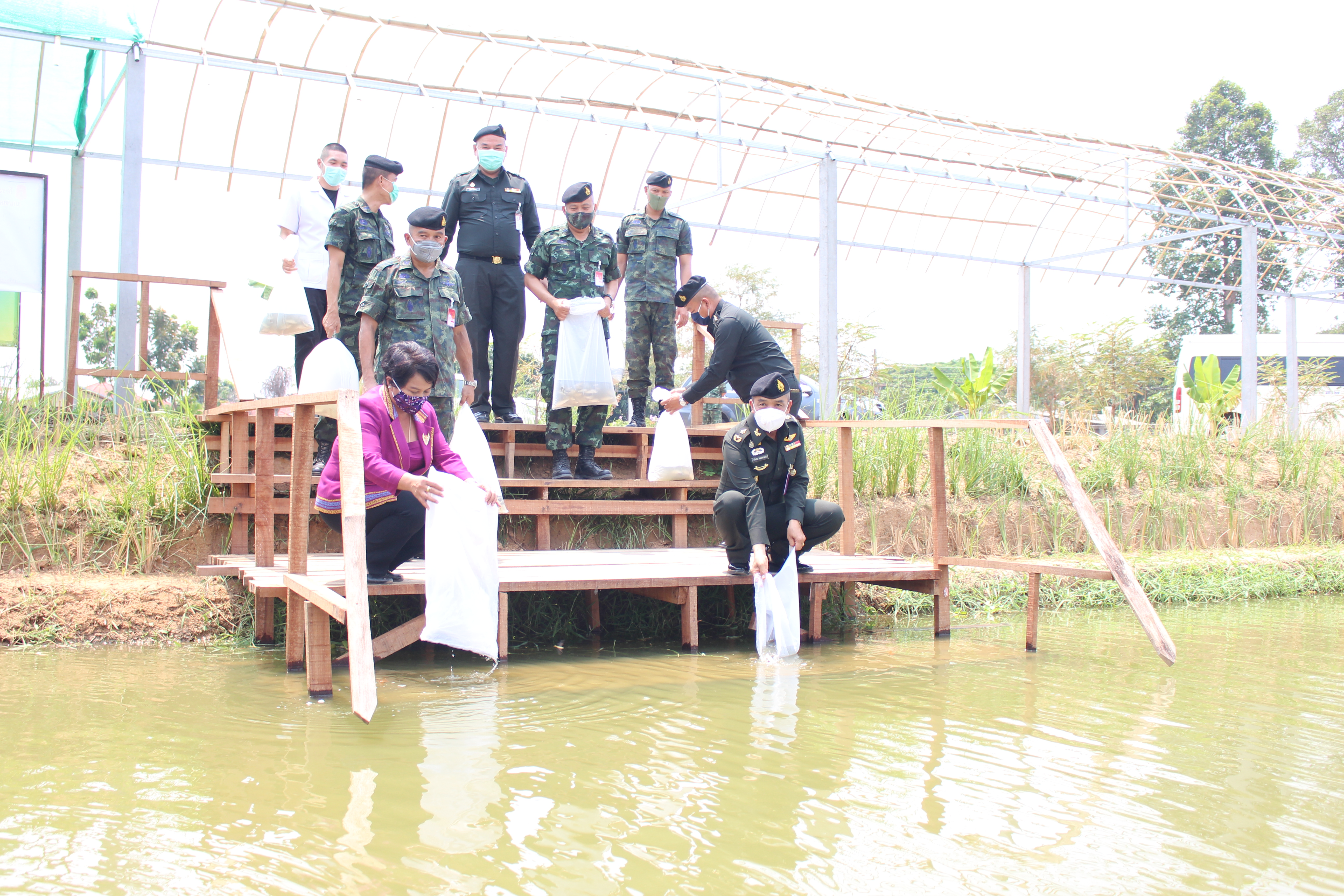 ศูนย์วิจัยและพัฒนาการเพาะเลี้ยงสัตว์น้ำจืดร้อยเอ็ด มอบพันธุ์ปลานิลจิตรลดา 3 จำนวน 24,000 ตัว ให้กับ มทบ.27 ในโครงการทหารพันธุ์ดีในพื้นที่จังหวัดร้อยเอ็ด