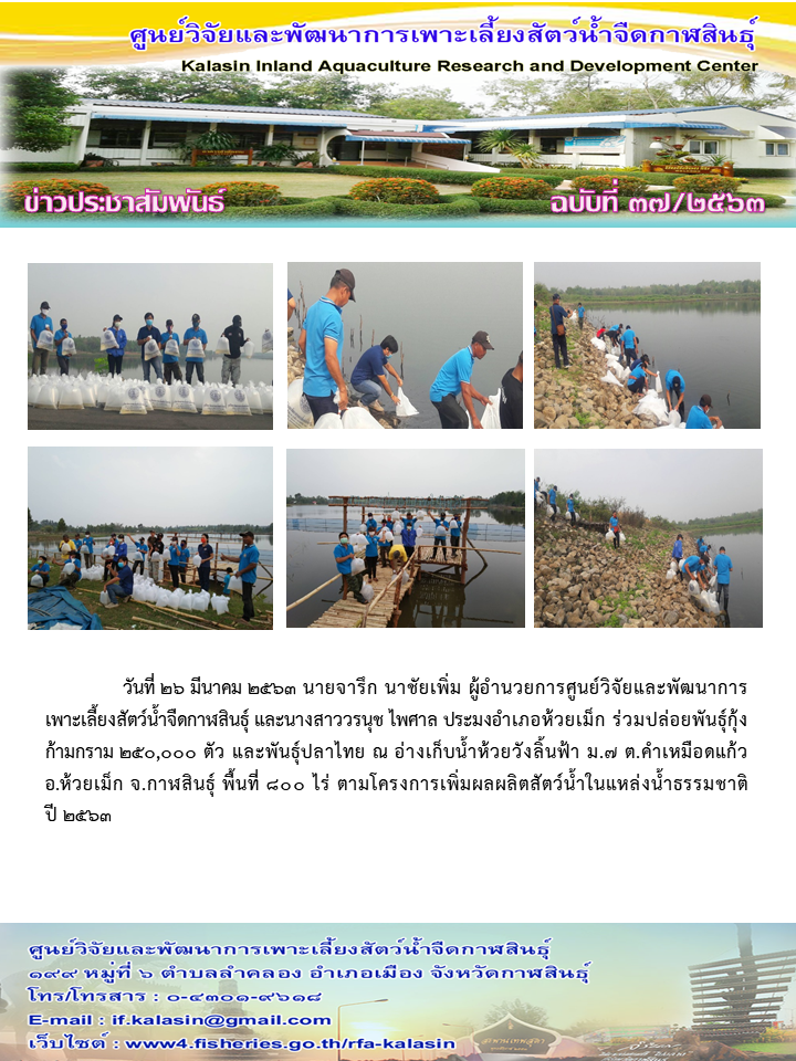ปล่อยพันธุ์กุ้งก้ามกราม 250,000 ตัว และพันธุ์ปลาไทย