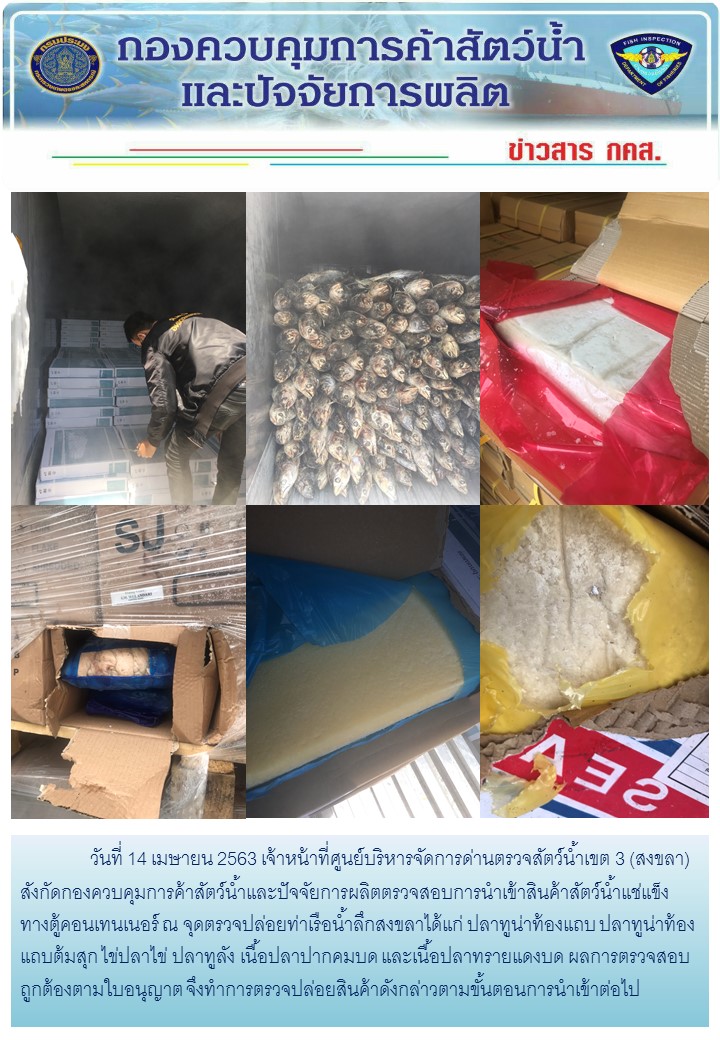 เจ้าหน้าที่ศูนย์บริหารจัดการด่านตรวจสัตว์น้ำเขต 3 (สงขลา) สังกัดกองควบคุมการค้าสัตว์น้ำและปัจจัยการผลิต ตรวจสอบการนำเข้าสินค้าสัตว์น้ำประเภทตู้คอนเทนเนอร์ ณ จุดตรวจปล่อยท่าเรือน้ำลึกสงขลา..คลิก
