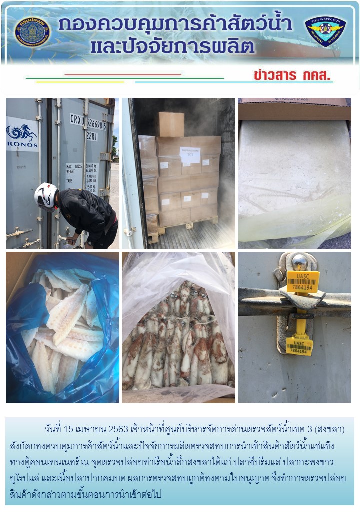 เจ้าหน้าที่ศูนย์บริหารจัดการด่านตรวจสัตว์น้ำเขต 3 (สงขลา) สังกัดกองควบคุมการค้าสัตว์น้ำและปัจจัยการผลิต ตรวจสอบการนำเข้าสินค้าสัตว์น้ำประเภทตู้คอนเทนเนอร์ ณ จุดตรวจปล่อยท่าเรือน้ำลึกสงขลา..คลิก