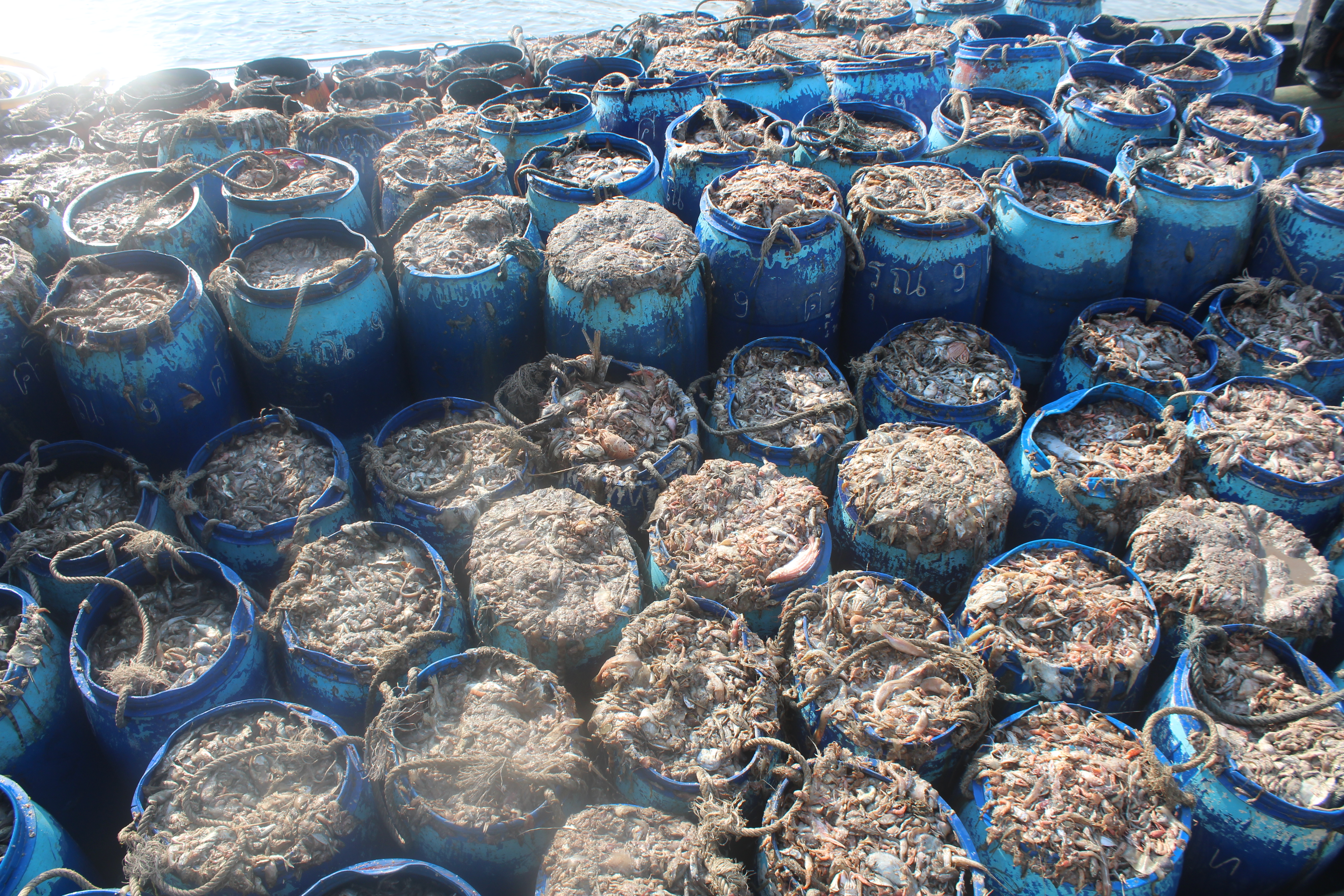 ตรวจสอบเรือและสินค้านำเข้าจากประเทศ MYANMAR..คลิก