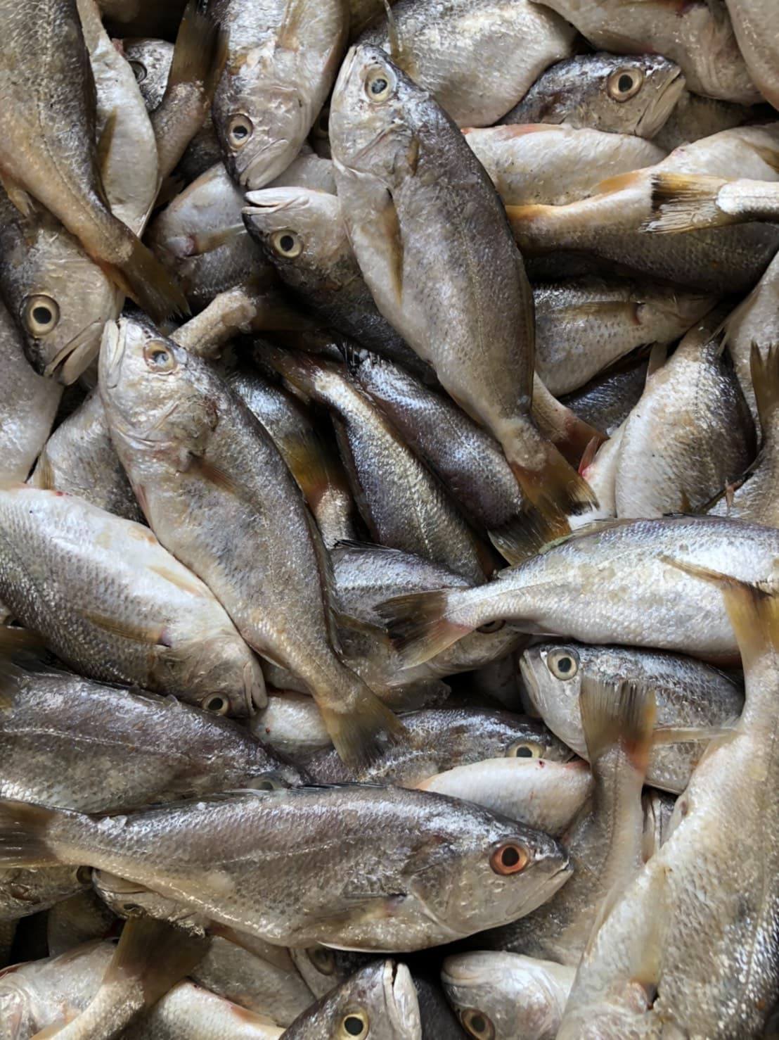 ตรวจสอบเรือและสินค้านำเข้าจากประเทศ MYANMAR..คลิก