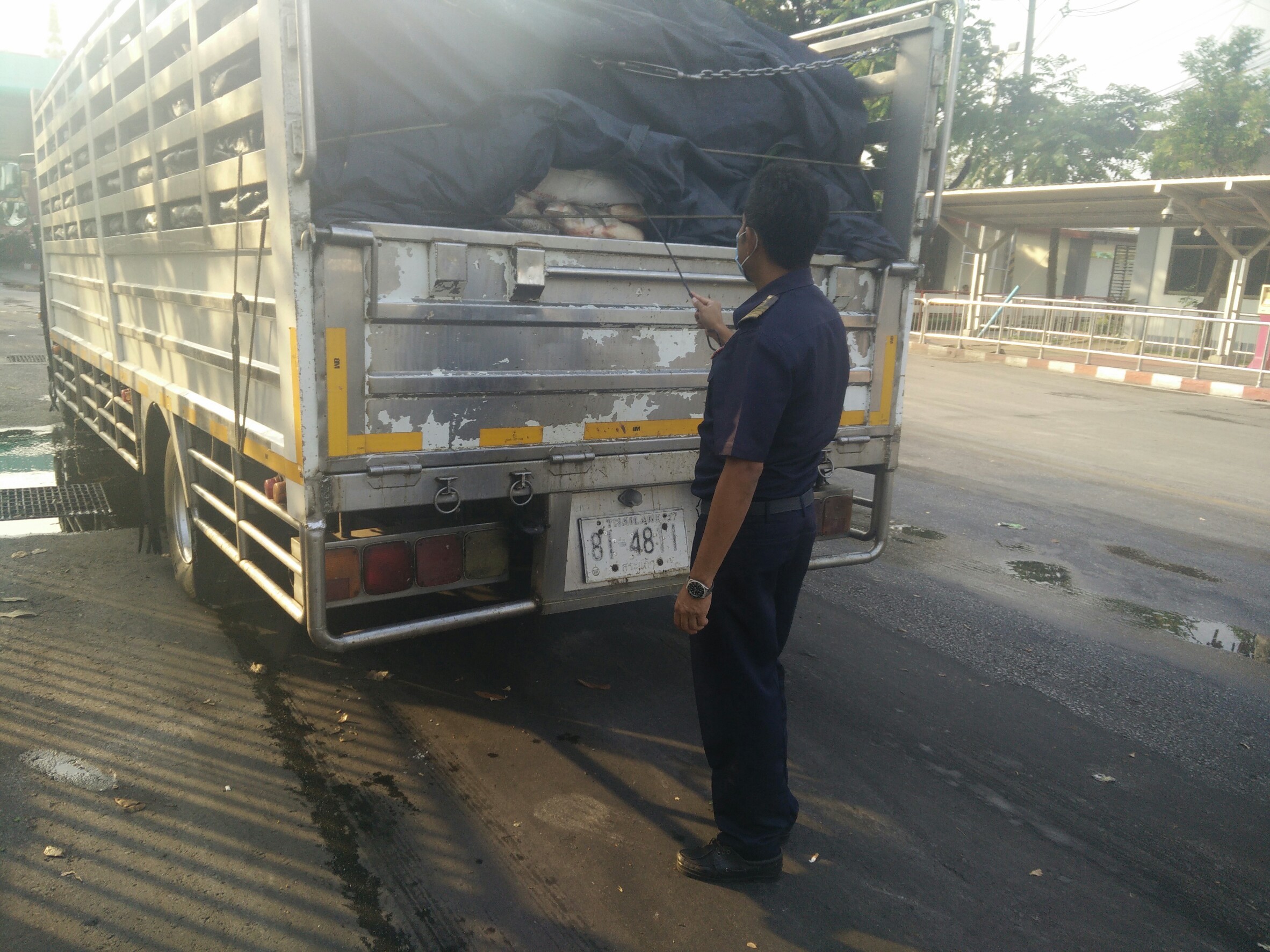 ตรวจสินค้าประมงที่นำเข้า ส่งออก ทางด่านพรมแดนถาวรคลองลึก..คลิก