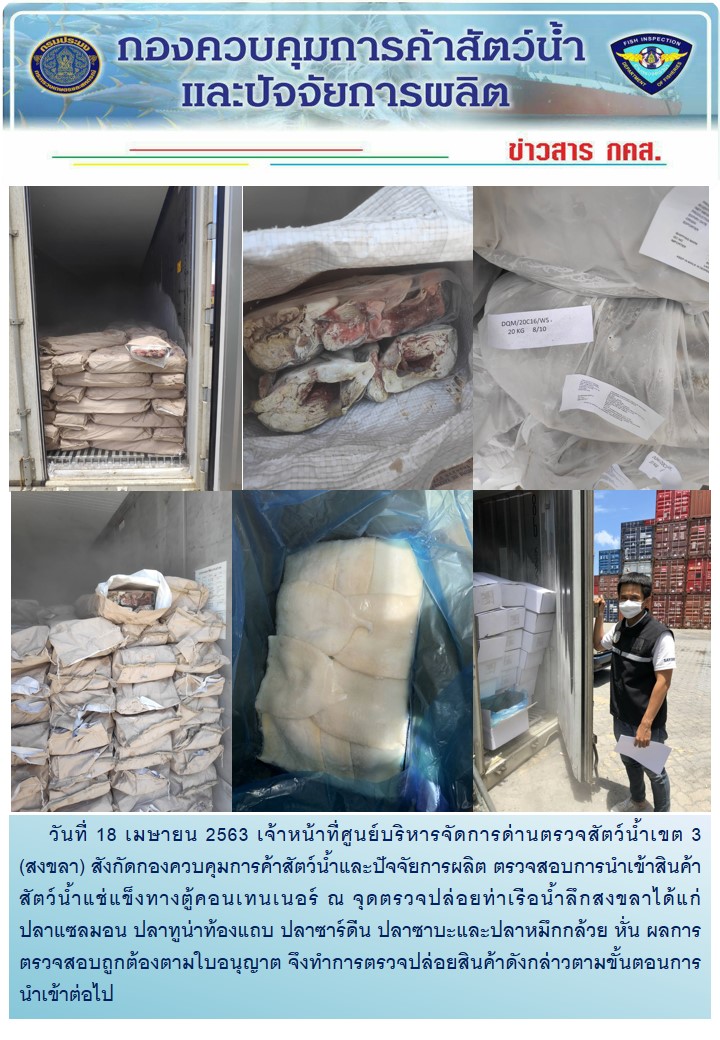 เจ้าหน้าที่ศูนย์บริหารจัดการด่านตรวจสัตว์น้ำเขต 3 (สงขลา) สังกัดกองควบคุมการค้าสัตว์น้ำและปัจจัยการผลิต ตรวจสอบการนำเข้าสินค้าสัตว์น้ำประเภทตู้คอนเทนเนอร์ ณ จุดตรวจปล่อยท่าเรือน้ำลึกสงขลา..คลิก