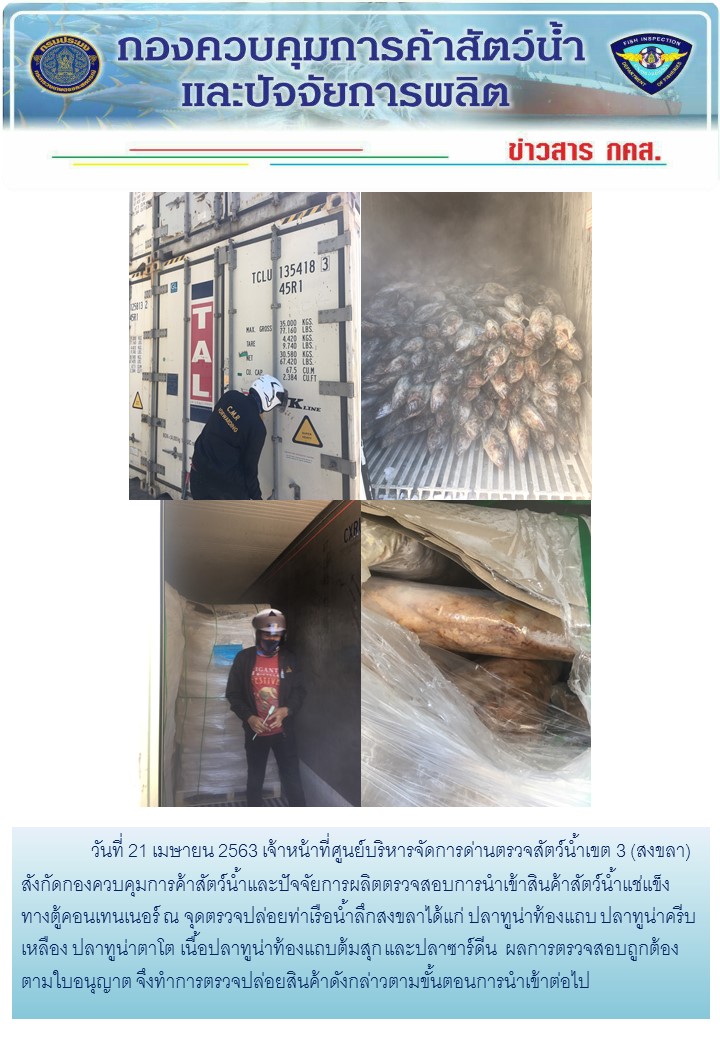 เจ้าหน้าที่ศูนย์บริหารจัดการด่านตรวจสัตว์น้ำเขต 3 (สงขลา) สังกัดกองควบคุมการค้าสัตว์น้ำและปัจจัยการผลิต ตรวจสอบการนำเข้าสินค้าสัตว์น้ำประเภทตู้คอนเทนเนอร์ ณ จุดตรวจปล่อยท่าเรือน้ำลึกสงขลา..คลิก