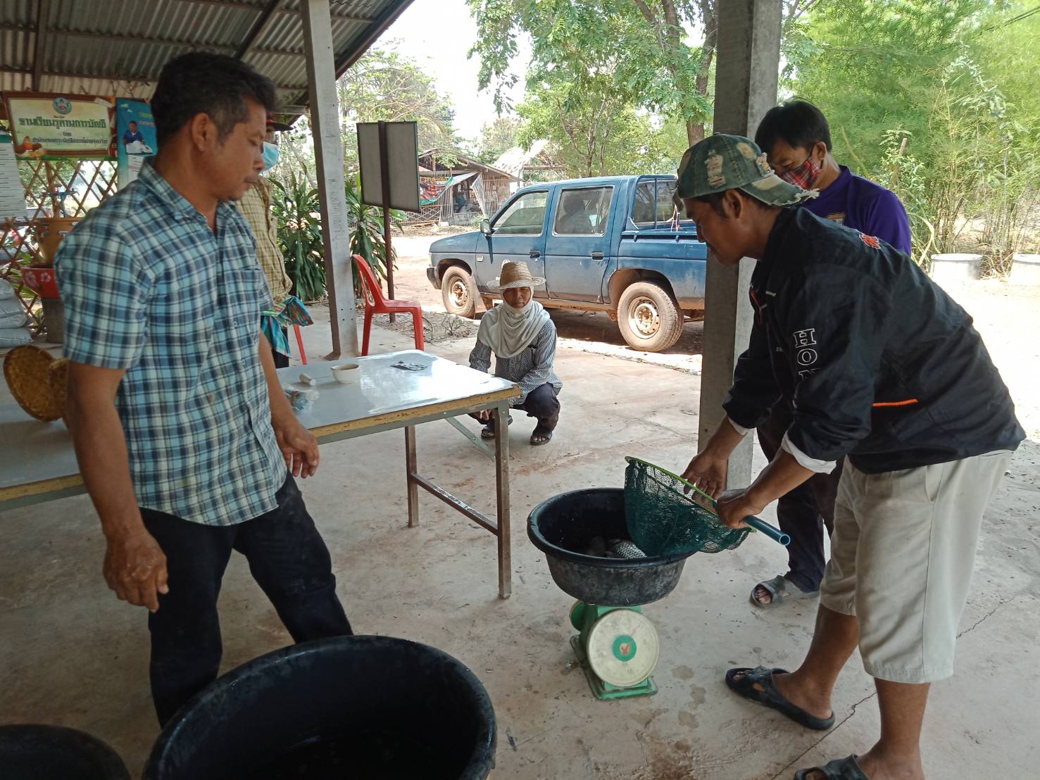 ออกส่งเสริมการเพาะพันธุ์ปลาตะเพียนขาวด้วยชุดเพาะฟักเคลื่อนที่(mobile hatchery) แก่ ศพก.หลัก - เครือข่าย และกลุ่มเกษตรกรที่สนใจ ณ ศพก.หลัก นายธีรวัฒน์ พันธุมาศ ต.ห้วย อ.ปทุมราชวงศา จ.อำนาจเจริญ..คลิก