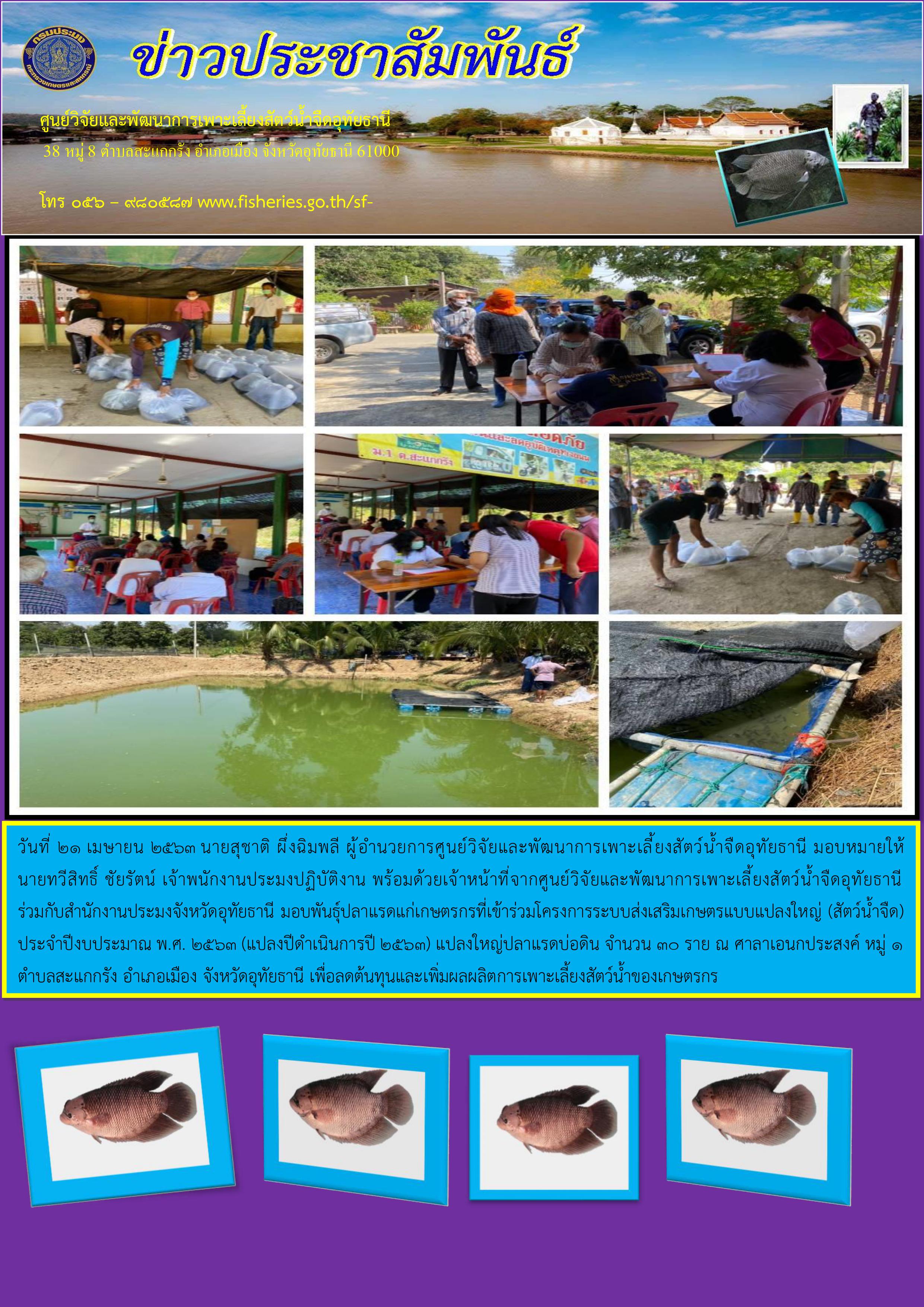 มอบพันธุ์ปลาแรดแก่เกษตรกรที่เข้าร่วมโครงการระบบส่งเสริมเกษตรกรแบบแปลงใหญ่ (สัตว์น้ำจืด) ประจำปีงบประมาณ พ.ศ. 2563..คลิก