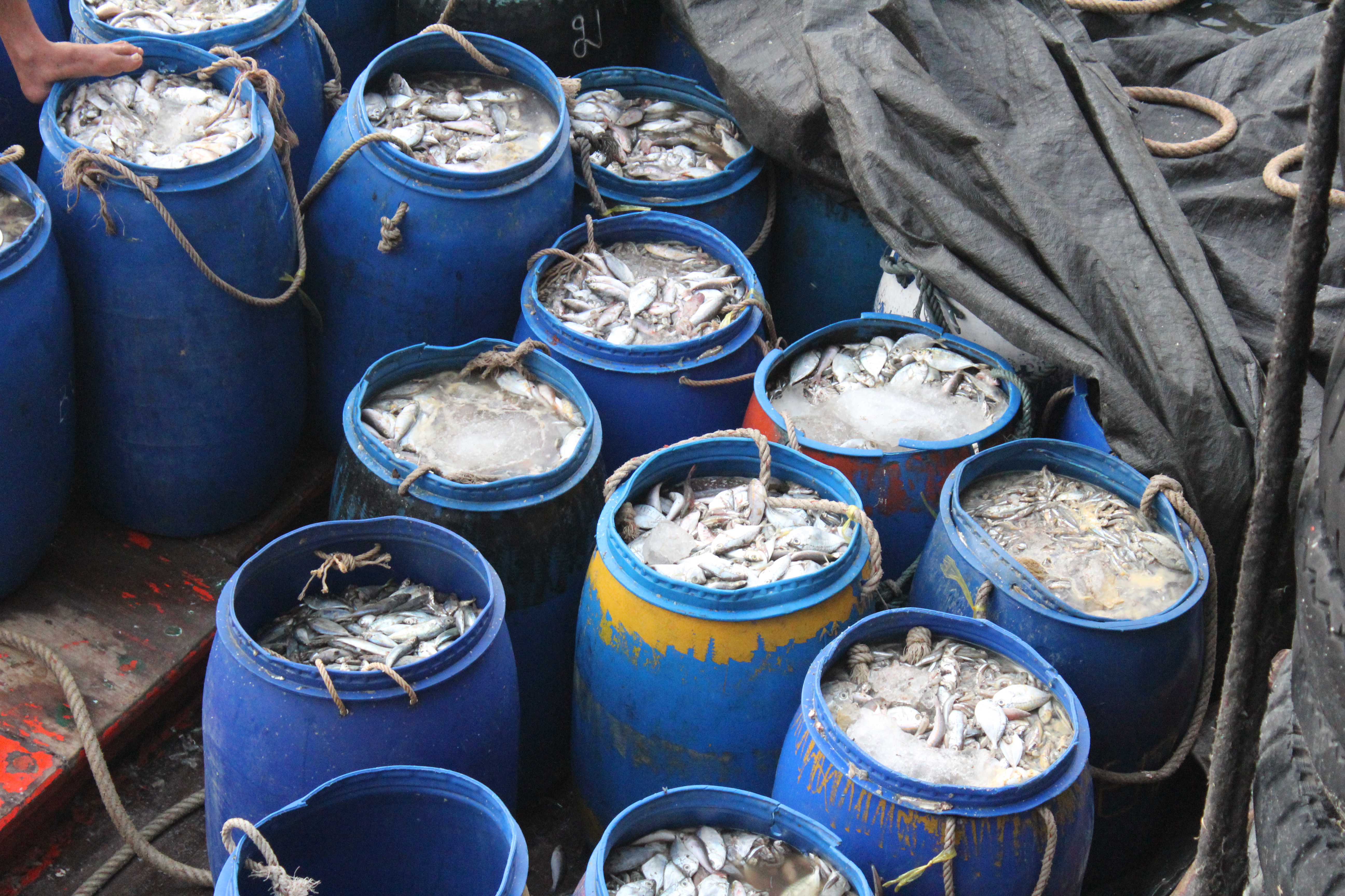 ตรวจสอบเรือและสินค้านำเข้าจากประเทศ MYANMAR..คลิก