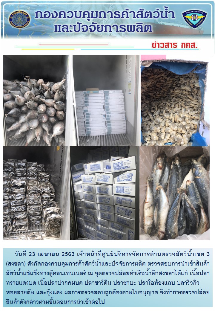 เจ้าหน้าที่ศูนย์บริหารจัดการด่านตรวจสัตว์น้ำเขต 3 (สงขลา) สังกัดกองควบคุมการค้าสัตว์น้ำและปัจจัยการผลิต ตรวจสอบการนำเข้าสินค้าสัตว์น้ำประเภทตู้คอนเทนเนอร์ ณ จุดตรวจปล่อยท่าเรือน้ำลึกสงขลา..คลิก