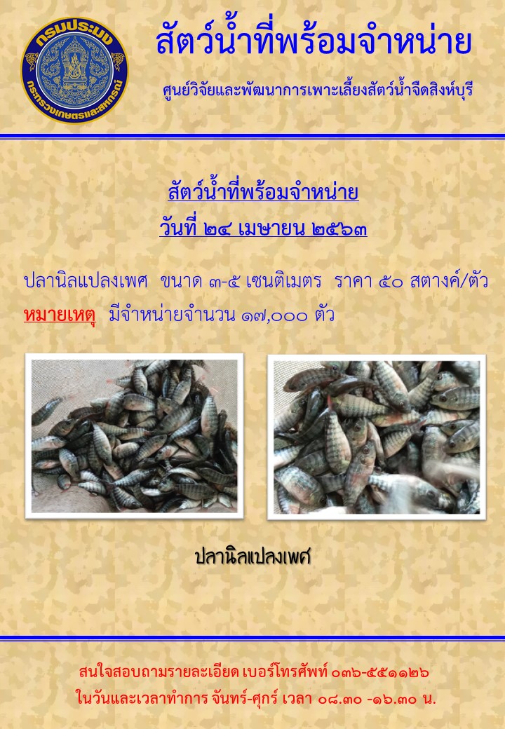 จำหน่ายพันธุ์สัตว์น้ำวันที่ 24 เมษายน 2563..คลิก